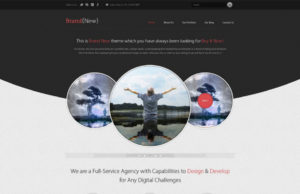 Brandneu – Ein exklusives WordPress Template